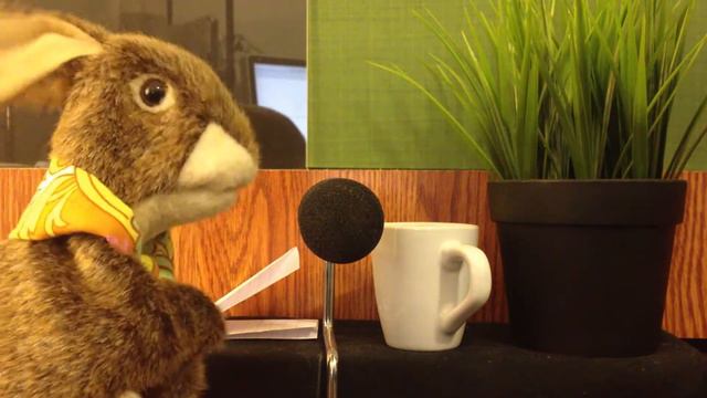 Markus Overnight, Episode 21: Thanksgiving Mailbag смотреть онлайн