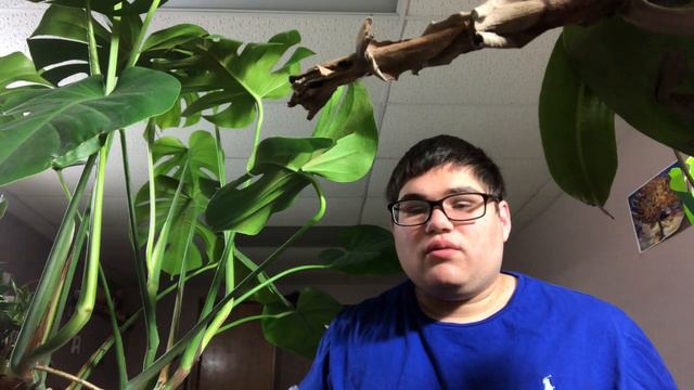 The Plant Prodigy’s Garden Episode Four; Monstera Deliciosa смотреть онлайн