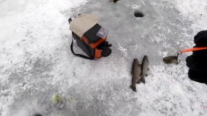 Ловля форели со льда на платном водоеме "Гарантия"