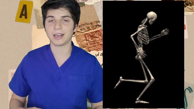 ¡5 HACKS PARA ESTUDIANTES DE MEDICINA!✅Libros, aplicaciones de anatomía, papers y lecturio gratis ? смотреть онлайн