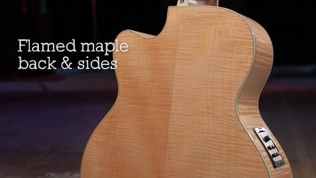 Washburn HJ40SCE