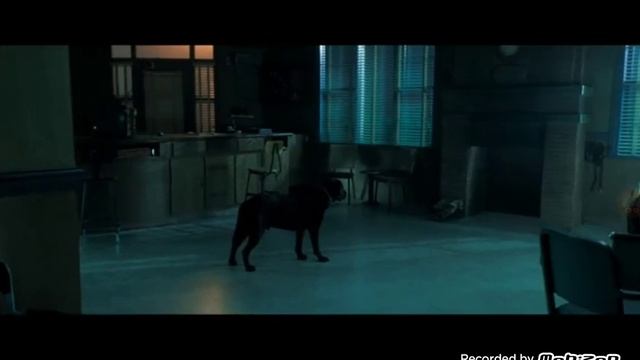 Mario and Luigi react to Scary stories to tell in the dark trailer смотреть онлайн