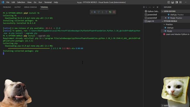HOW TO INSTALL TKINTER MODULE USING MICROSOFT VS CODE IN TERMINAL | PYTHON TUTORIAL 003 смотреть онлайн