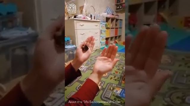 Интеллектуальная игра для собак. Самоед отгадывает! Smart dog game Samoyed - Самые умные собаки смотреть онлайн