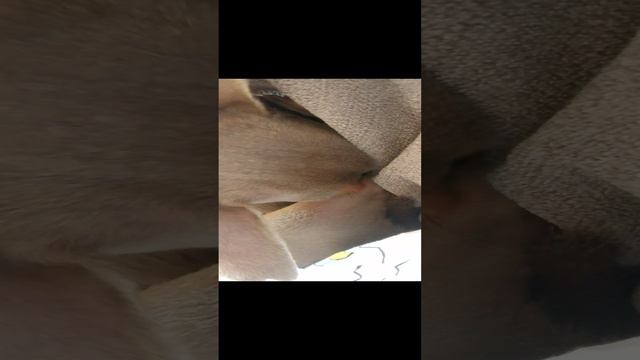 1000032476.mp4 смотреть онлайн