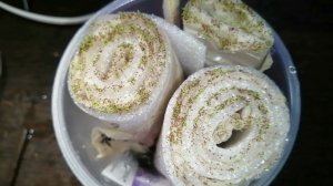 Рассада в скрутках, улитках и что из этого у меня получилось