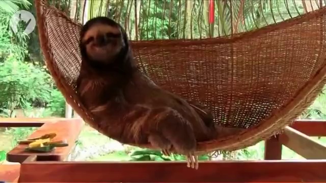 Вот и праздники наступили смотреть онлайн