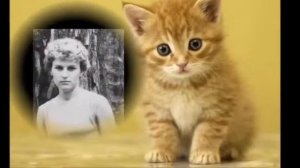 Музыка из кинофильма "Завтрак на траве"