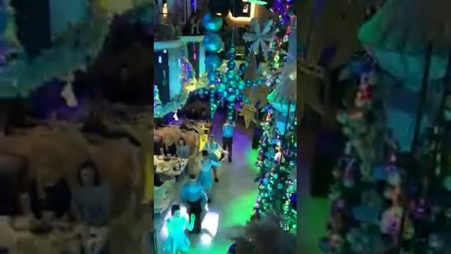 Шураня Александр Золотое руно ? смотреть онлайн