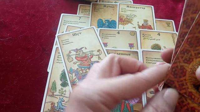 Селидово Донецкая область прогноз Таро на 10-14.08.22 #таро #прогноз смотреть онлайн