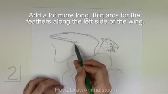 How to Draw a Griffin (Gryphon) смотреть онлайн