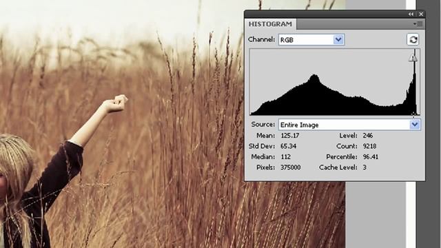 Photoshop 101 e.3 - What is a Histogram : Beginner Tutorial смотреть онлайн