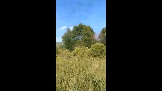 Вездеход переломка 4х4 ока, лето 2018 смотреть онлайн