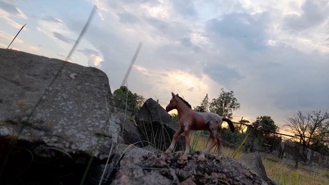 Фото коней шляйх на природі смотреть онлайн