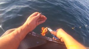 Рыбалка в Крыму на Черном море, ласкирь, горбыль