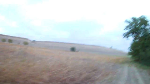 вяхирь 10 октября 2019 смотреть онлайн