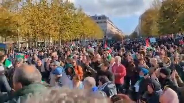 Франция демонстрация против геноцида палестинцев смотреть онлайн