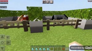 Покупка новых лошадей? Переезд в новую конюшню!)