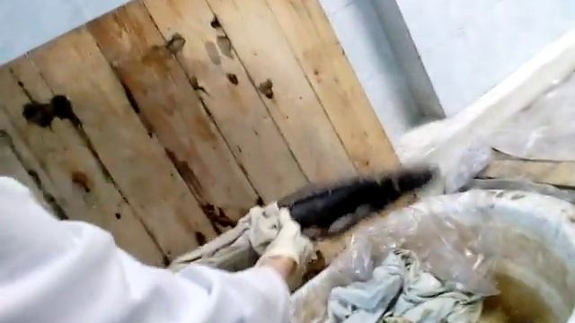 Похождения в морг смотреть онлайн