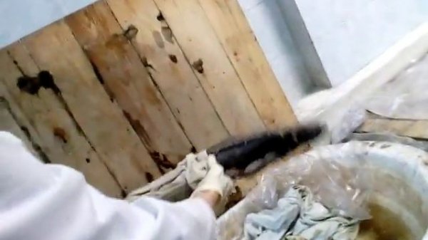 Похождения в морг