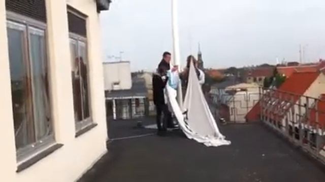 Befri tangavik смотреть онлайн