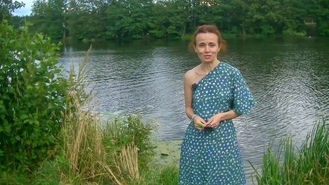 Продолжаем заниматься смотреть онлайн