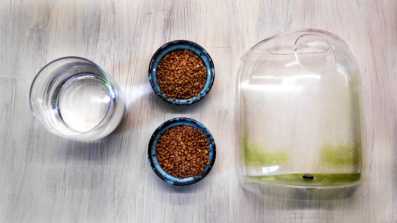 Как отмыть канистру от зеленого налета быстро и просто смотреть онлайн