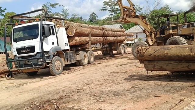 Logging truck Man tgs 40.440 tampil dikota 18 смотреть онлайн