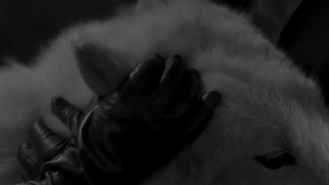 Thomas Trance - Unseen Force (Electrical Energy Mix).mp4