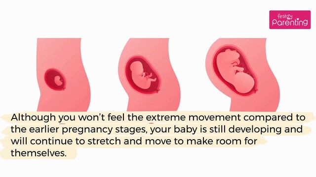 Fetal Movement : How and When You Feel Your Baby Move смотреть онлайн
