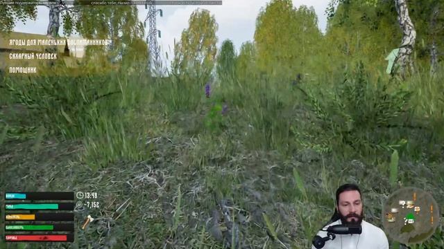 Симулятор русской деревни. (Russian Village Simulator - ПИПС). смотреть онлайн