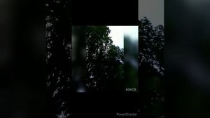 Участница конкурса "Серебряный Скорпион"-Шумилова Алина.