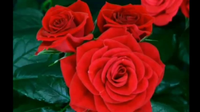 Годы...Не спешите-чуть,чуть подождите...