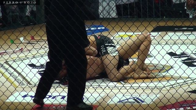 MFC 15 - Matías Vásquez (Chile) VS Kevin Santacruz (Paraguay) - MMA Chile 28/07/2018 смотреть онлайн