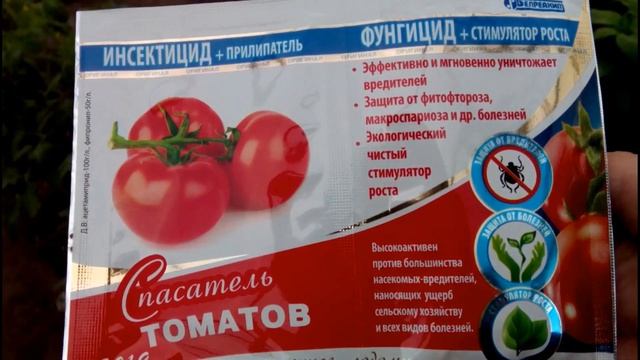 ??ВАЖНАЯ ОБРАБОТКА ТОМАТОВ ОТ БОЛЕЗНЕЙ И ВРЕДИТЕЛЕЙ смотреть онлайн