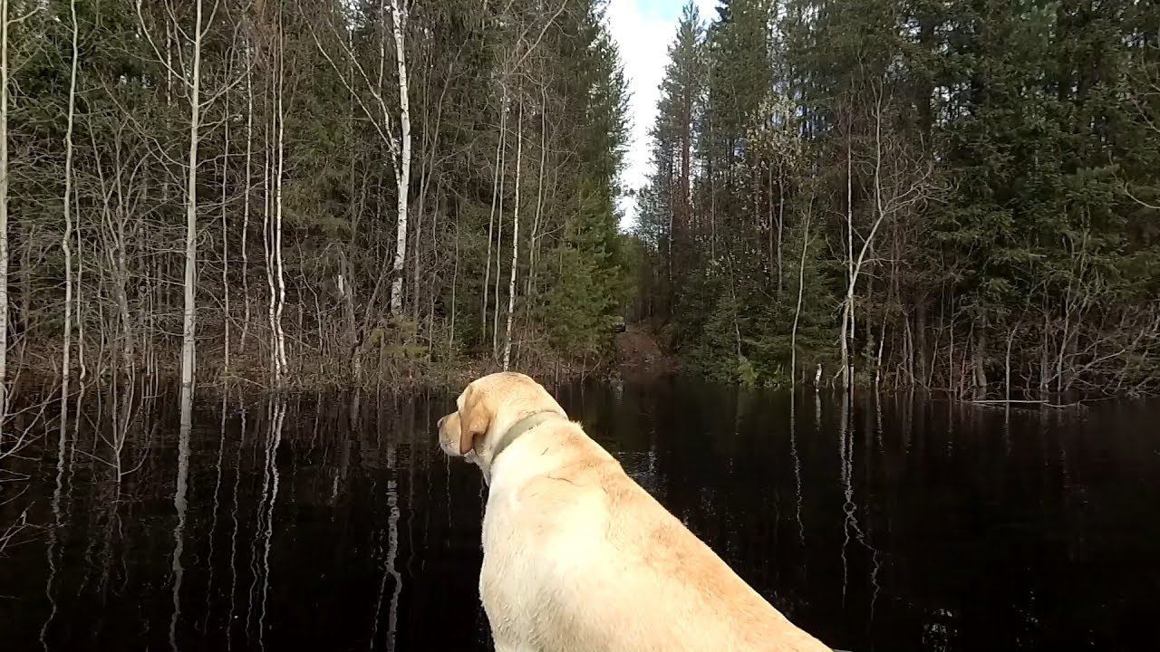 Неудачный тест лодки и мотора смотреть онлайн