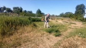 Штиль ФС 250/ #StihlFS250 в работе