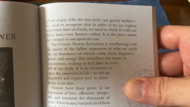 Sacred Geometry Activations Oracle. So Lon, farewell. Sticky cards. Typo. Cool colors. Sixes. смотреть онлайн