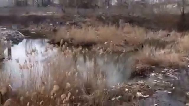 Свалка в обл больнице смотреть онлайн