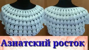 Азиатский росток и подрезы. Туника Каролина  2 часть. Подробный мастер класс по вязанию крючком.