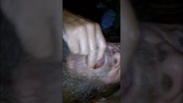 Витя Митя один дома Mukbang