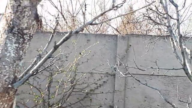 Флаг РФ у нас на терриконе. УРААА, ДОРОГИЕ ТОВАРИЩИ!!! смотреть онлайн