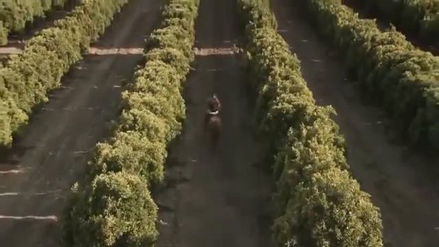 Avicii - Wake Me Up [Official Video] (Feat Aloe Blacc) смотреть онлайн