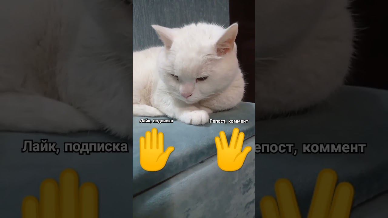 Как у тебя получилось? #shorts смотреть онлайн