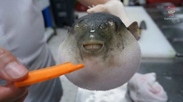 Фуга ест морковь 1 час смотреть онлайн