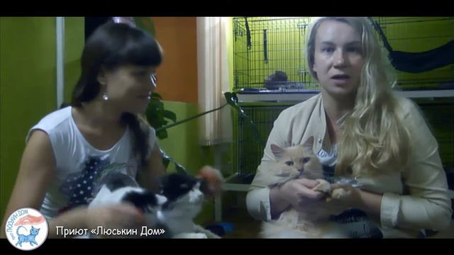 Люськин Дом смотреть онлайн