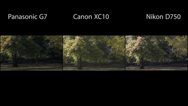 Nikon D750 Video Review - The best hybrid camera to date? смотреть онлайн
