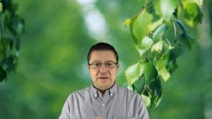 ТОП 10 МОРОЗОСТОЙКИХ СОРТОВ ВИНОГРАДА. ВИННЫЕ ТЕХНИКИ _ TOP 10 FROST-RESISTANT GRAPES