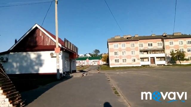 Собачка потерялась или загуляла?Мальчик отличник на самокате// смотреть онлайн