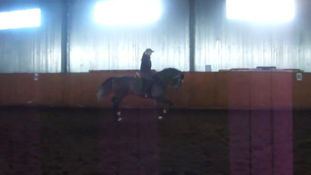 Мое любимое ЧУДО смотреть онлайн